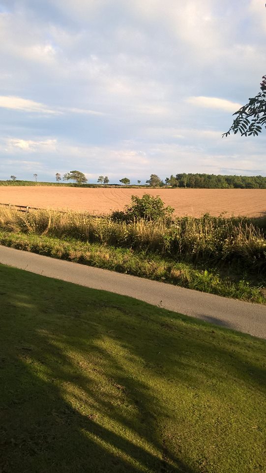 11844974_1472753669710896_2736662476440977253_o