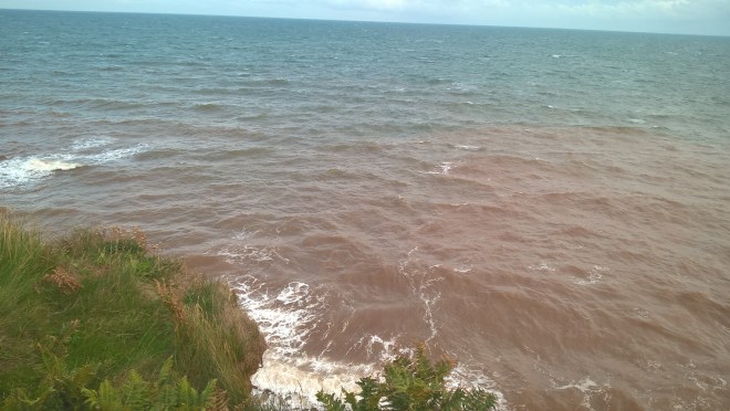 WP_20150913_16_10_43_Pro