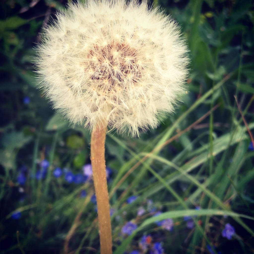 InstagramCapture_4b1418b3-aca1-43aa-b80e-5c7d900c3f25