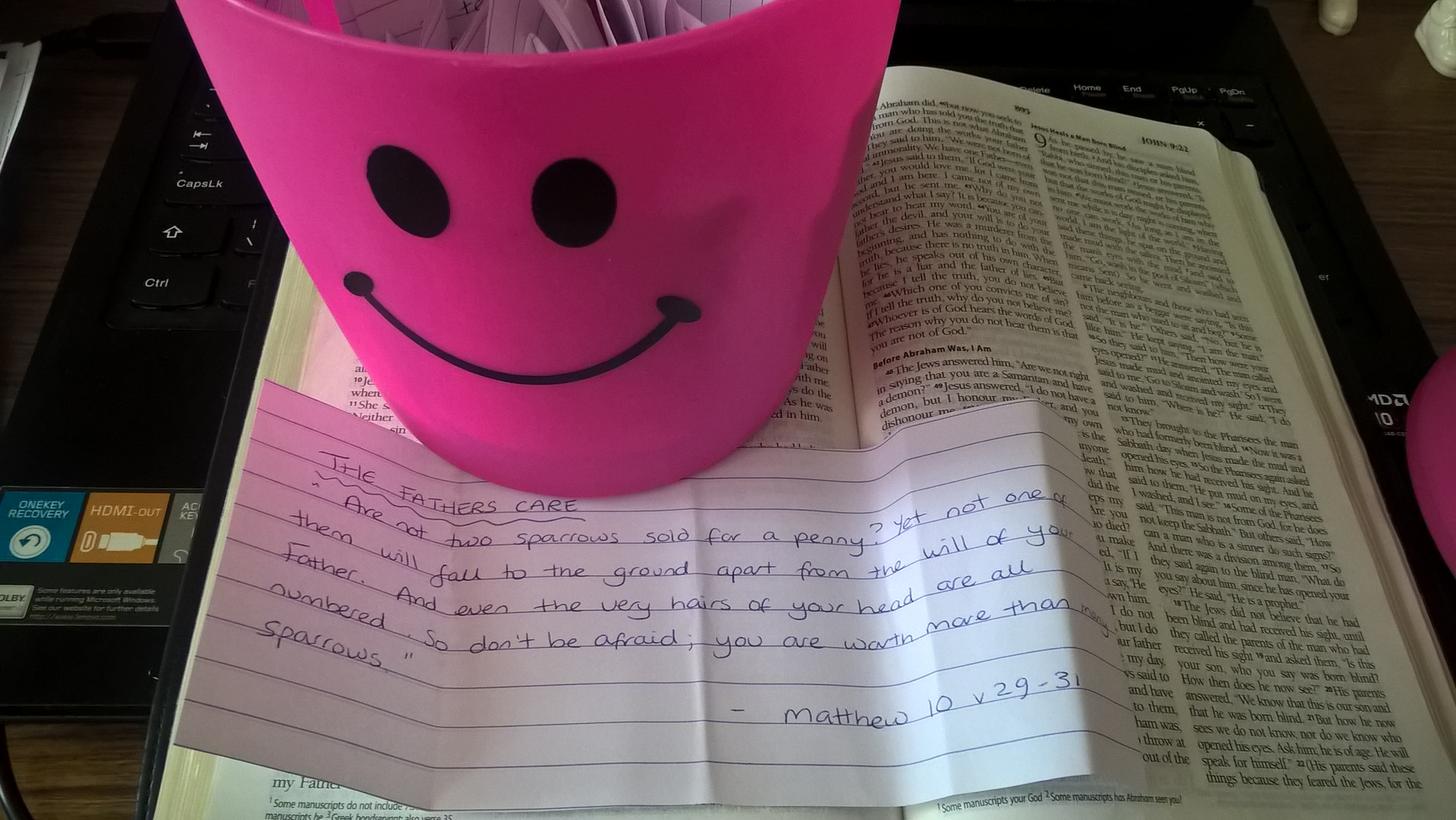 WP_20160512_11_59_10_Pro