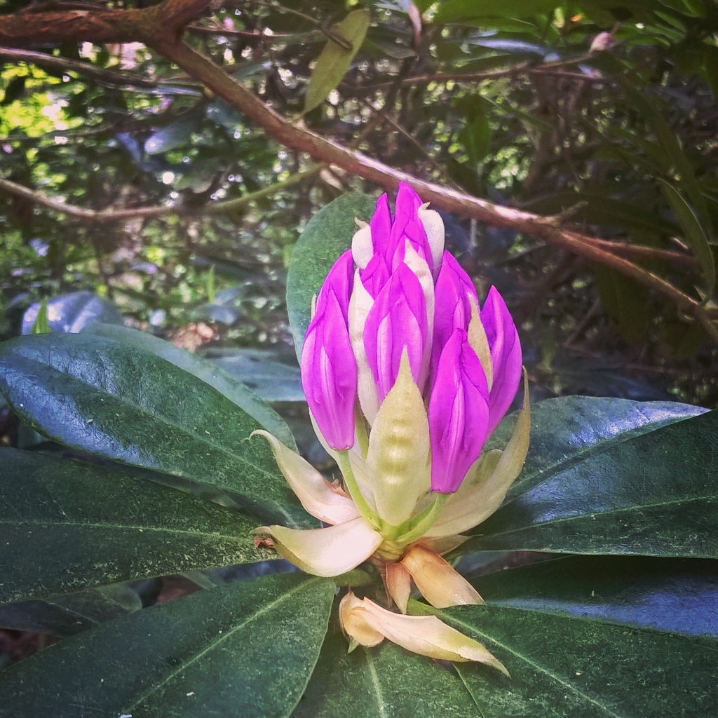 InstagramCapture_178d597b-e4d3-40c5-a00d-24e8e1d2d440