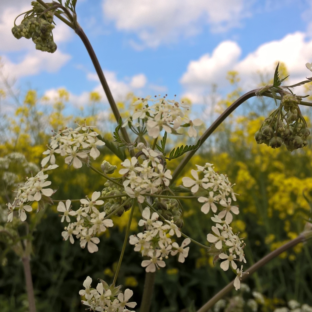 InstagramCapture_1f10f112-80f5-4216-983d-34754cbc384d