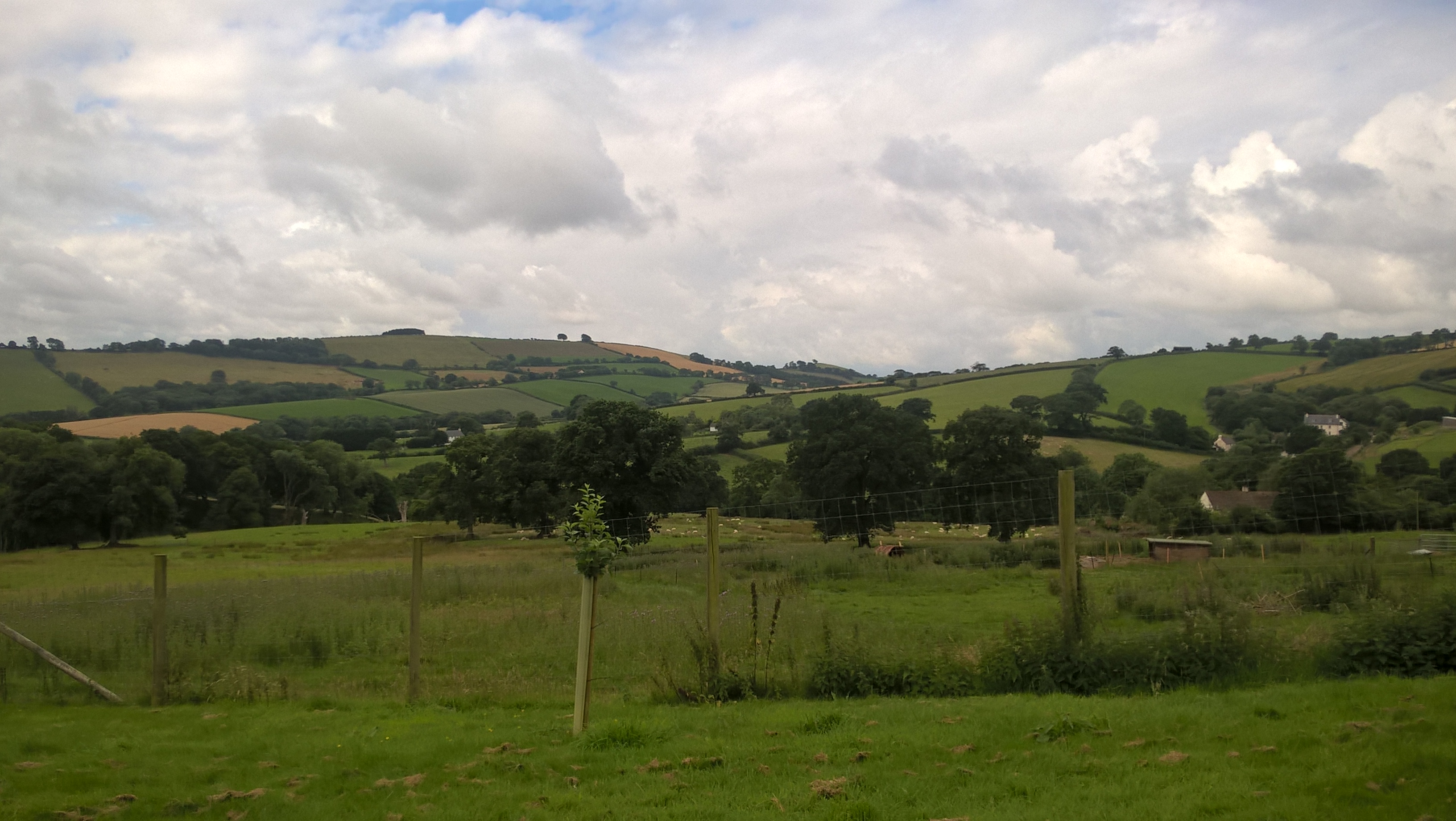 WP_20160712_11_03_27_Pro