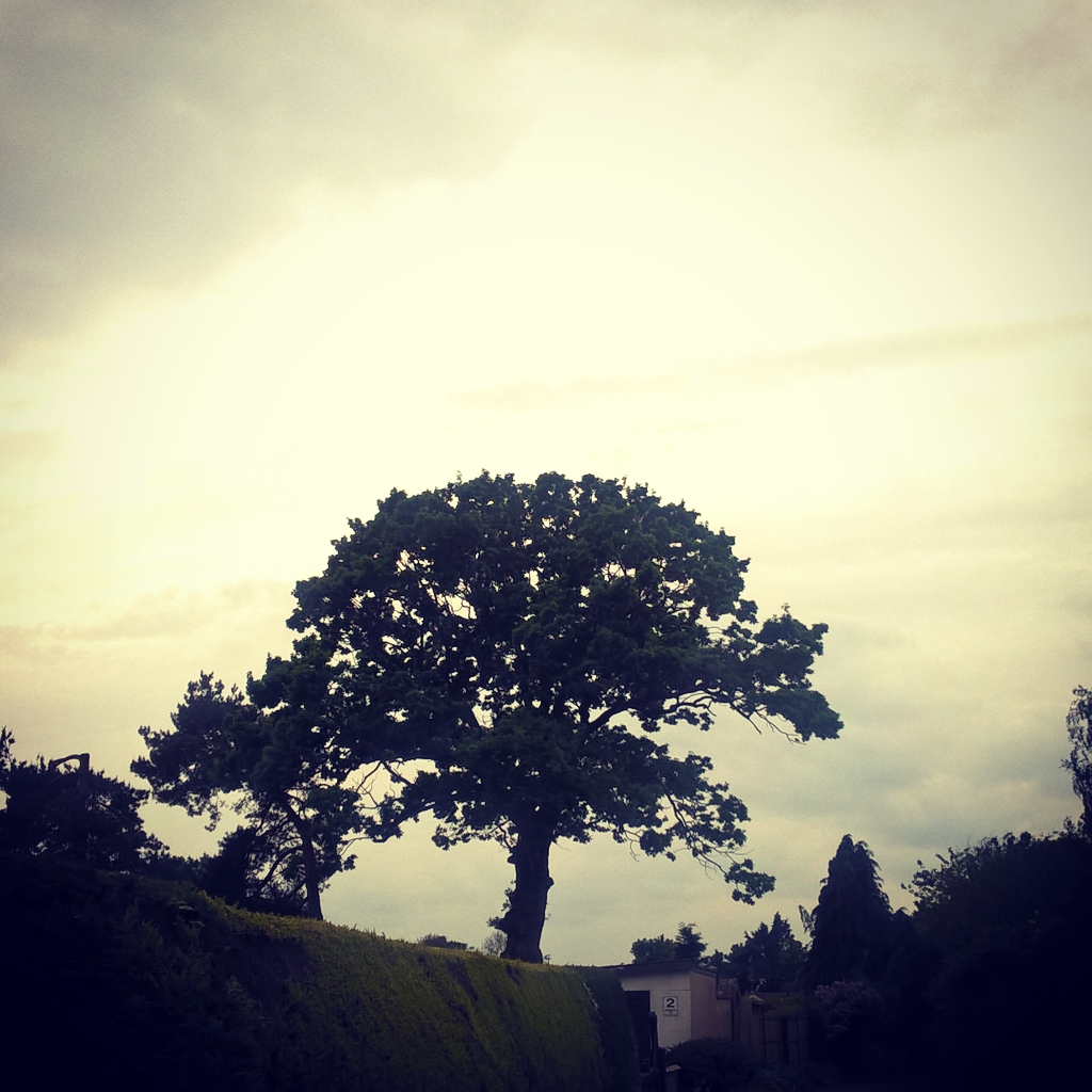 instagramcapture_1ca383a7-e366-459a-99d4-2365e4501b84