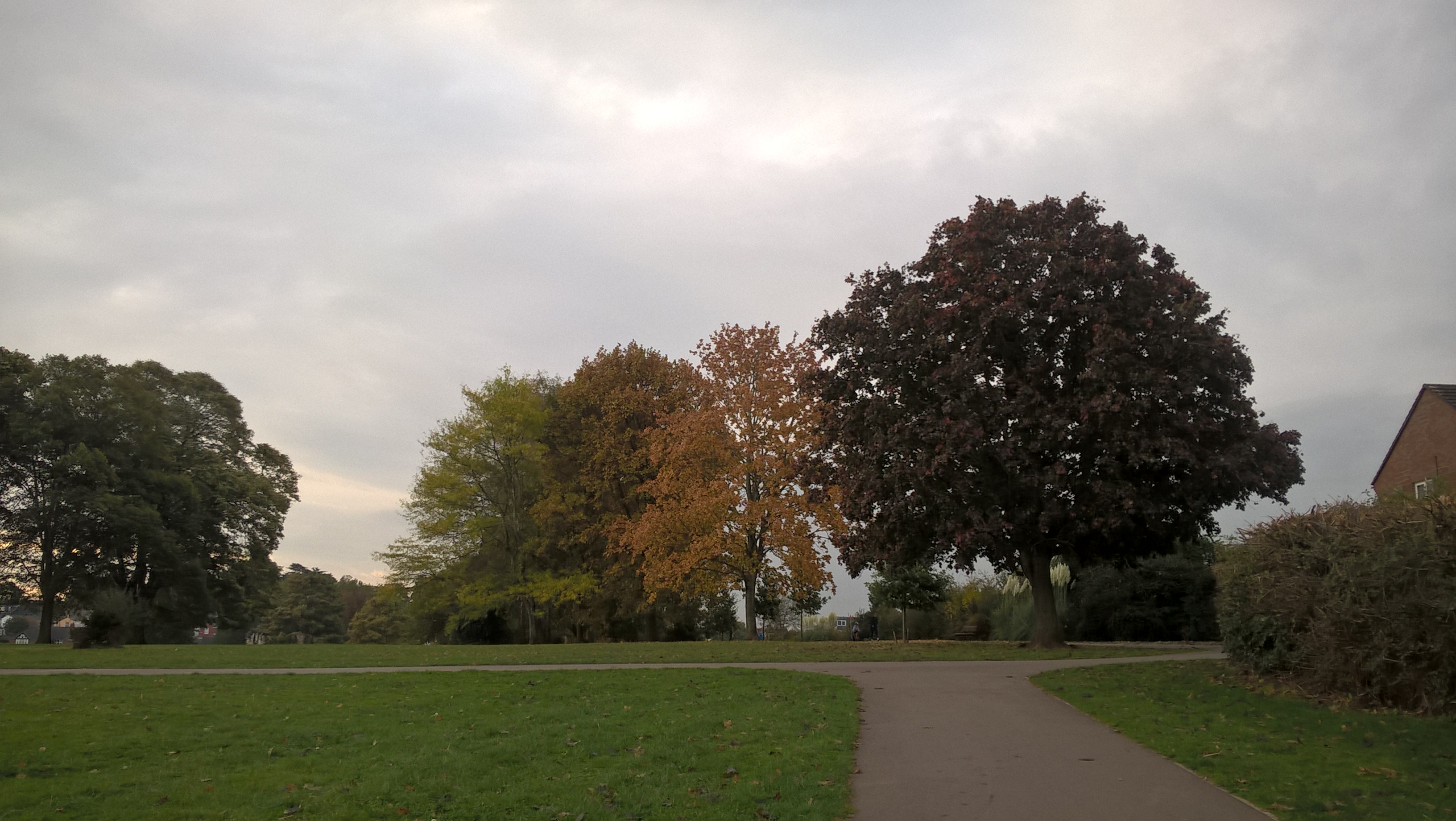 wp_20161023_09_47_56_pro