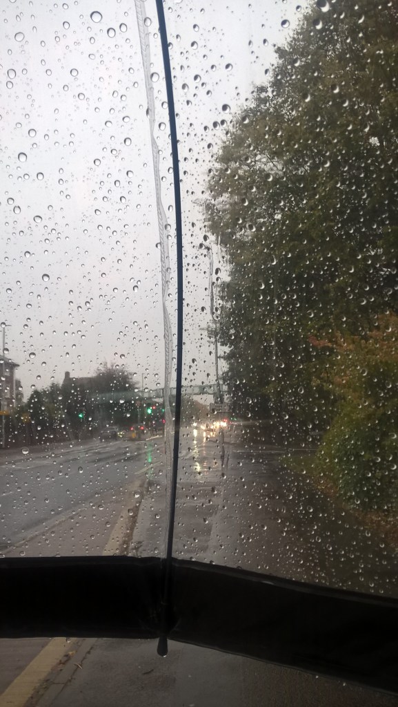 wp_20161024_10_02_56_pro