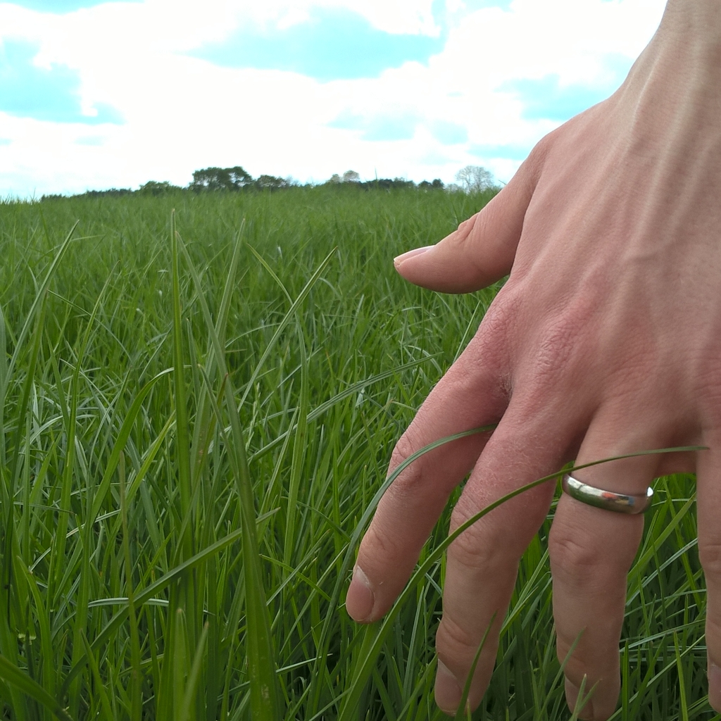 InstagramCapture_dd5ffb4c-6225-4d89-be76-ff3b634f7e66