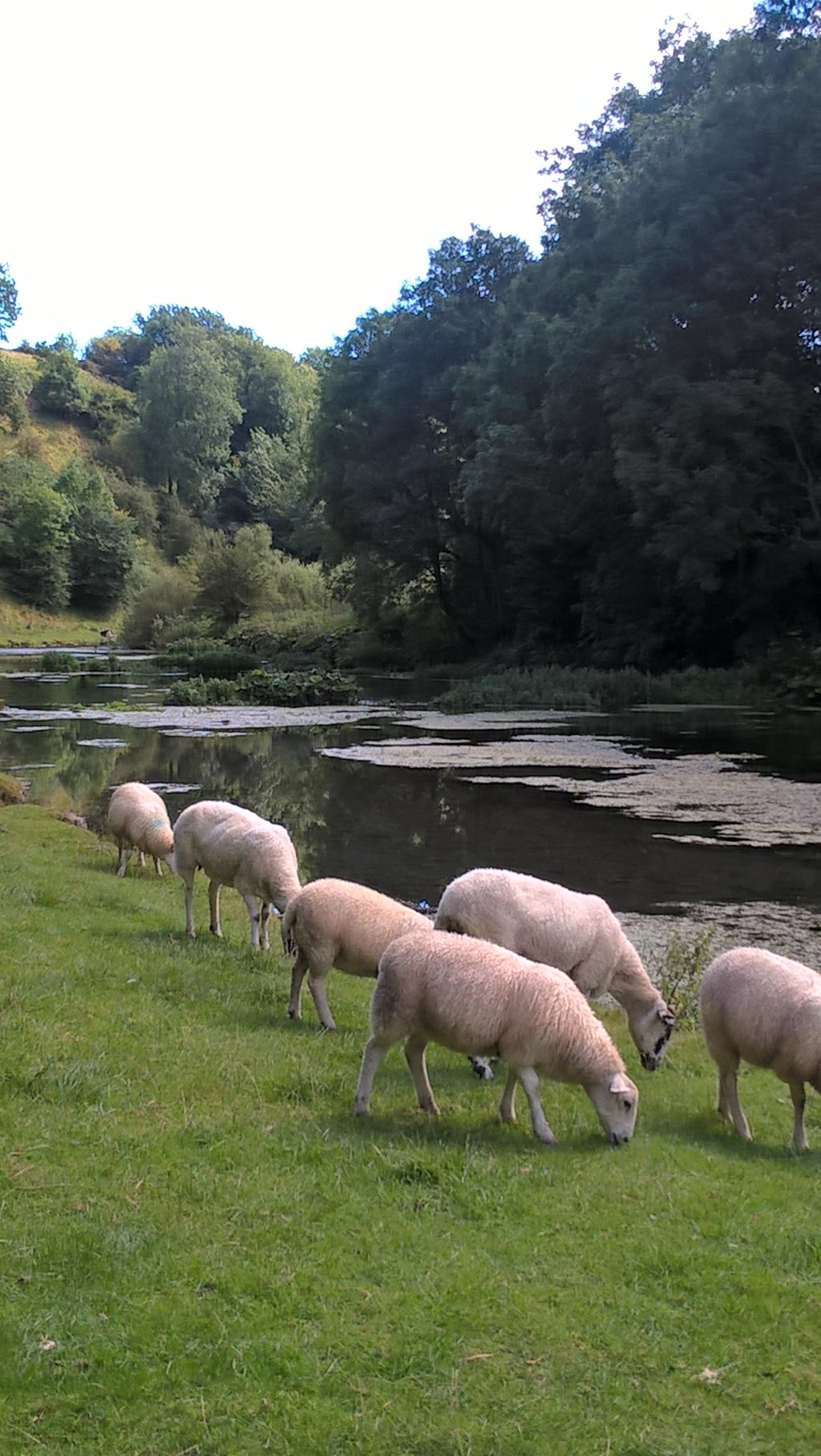 Unemployment – a short devotional&nbsp;5