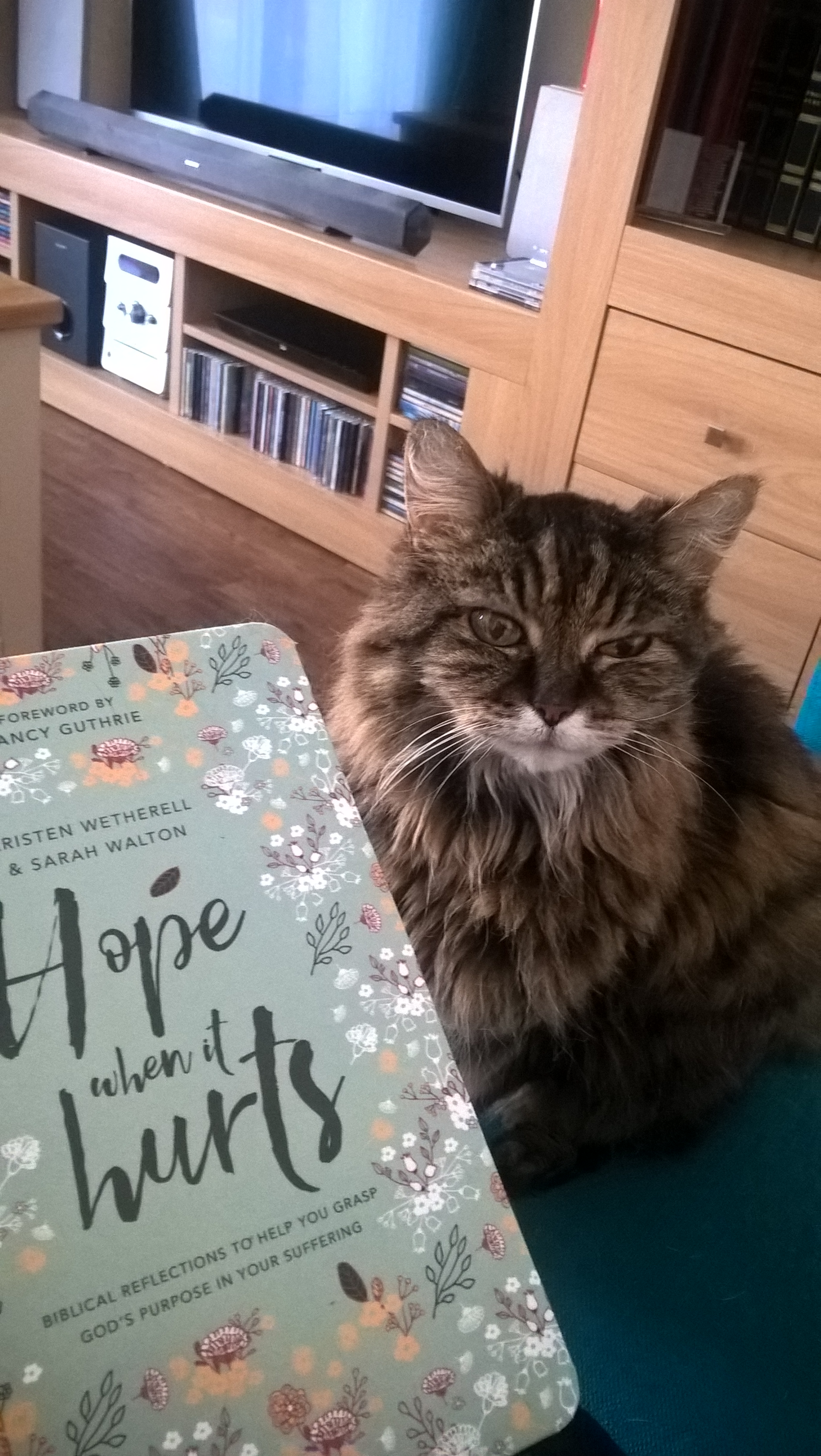 WP_20170214_10_44_38_Pro