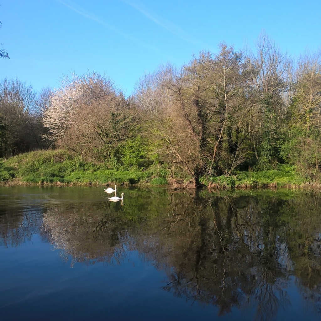 InstagramCapture_e67f1979-0d66-43ec-a4e1-c683afce3713