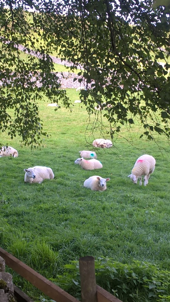 WP_20160826_14_15_41_Pro