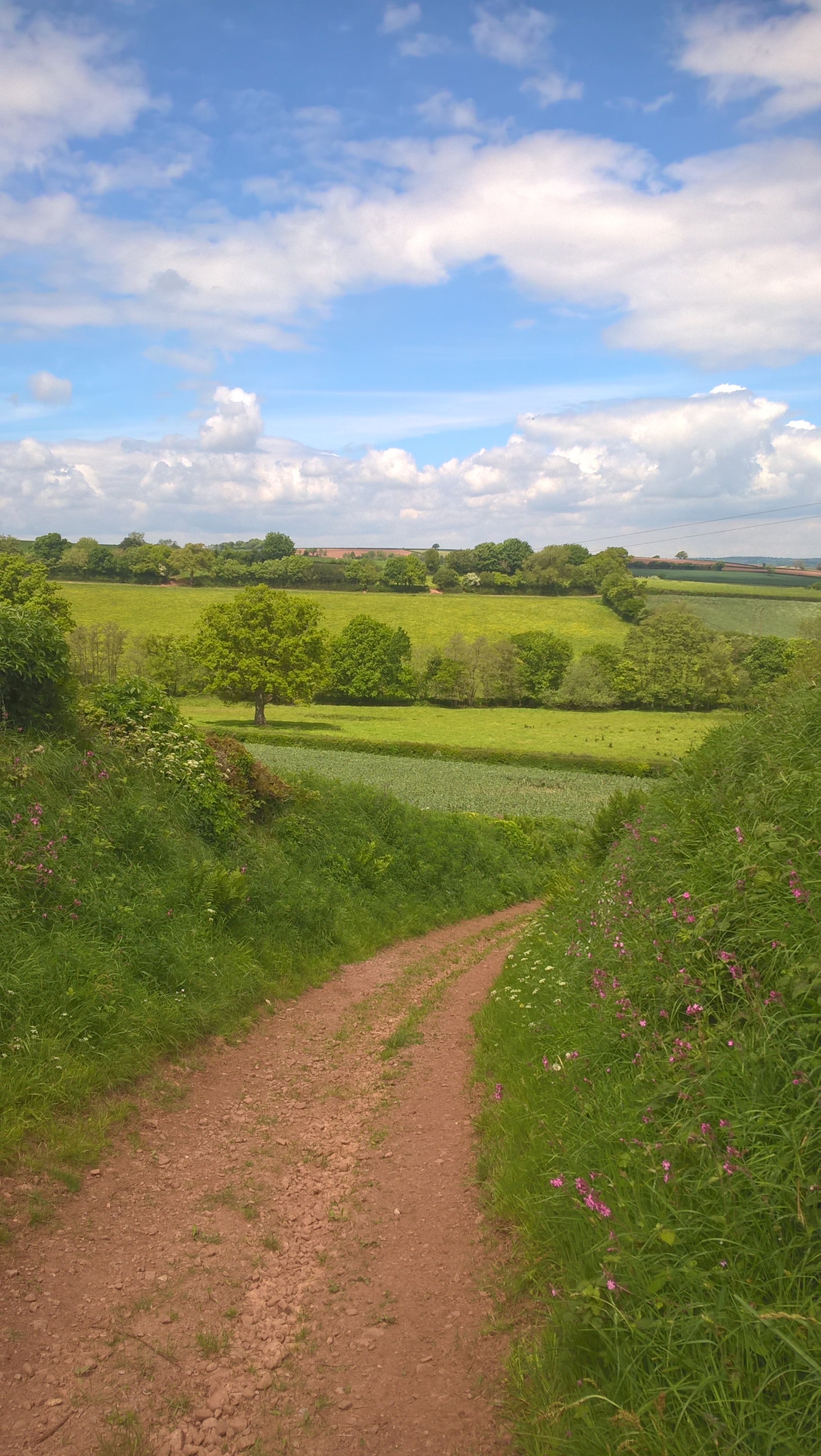 WP_20170513_13_07_35_Pro 1