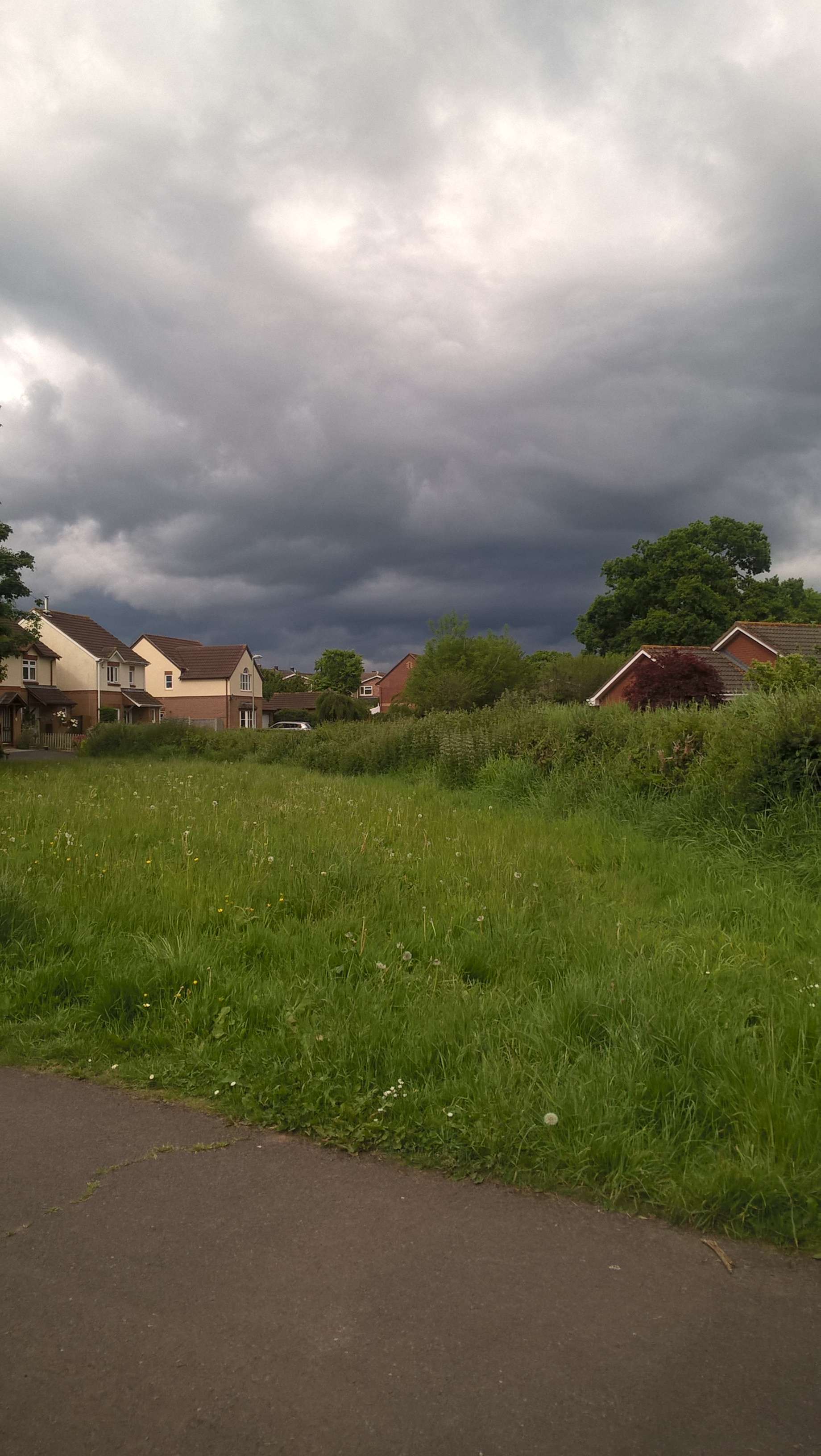 WP_20170519_16_42_58_Pro