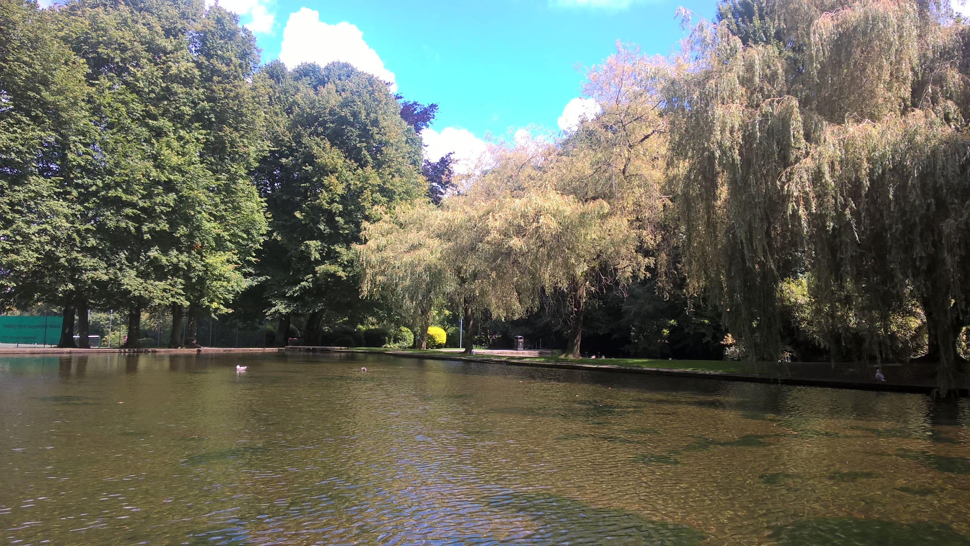 WP_20170815_12_03_37_Pro